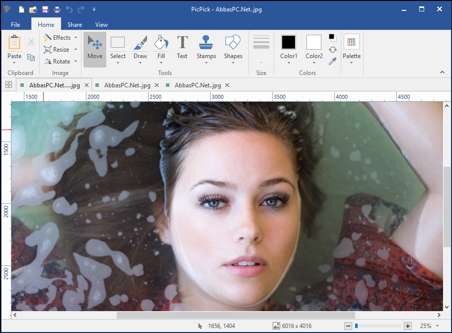 PicPick Professional License Key Full Download PicPick Professional License Key Full Download