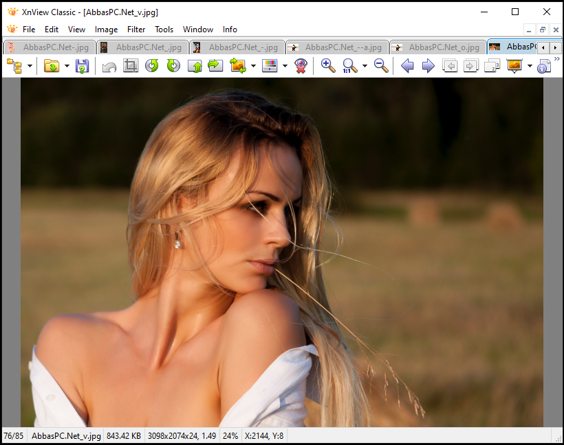 XnView Complete Registration Code Download