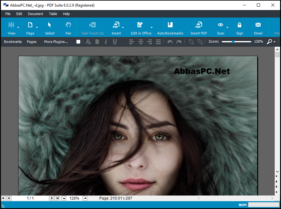 Amyuni PDF Converter Serial Key