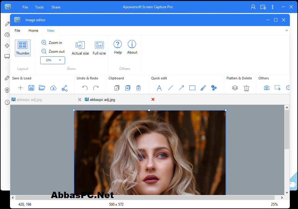 Apowersoft Screen Capture Pro Serial Key Apowersoft Screen Capture Pro Serial Key
