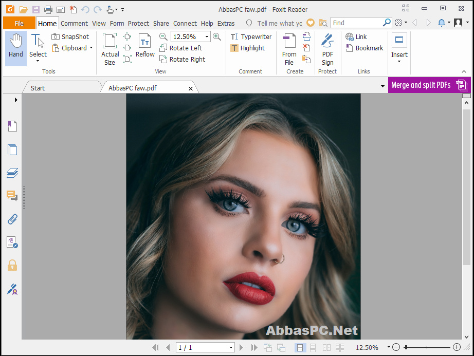 Foxit Reader Download for Windows