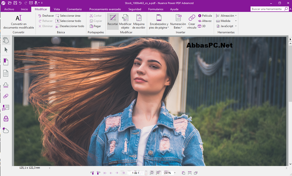 Nuance Power PDF Advanced License Key Download