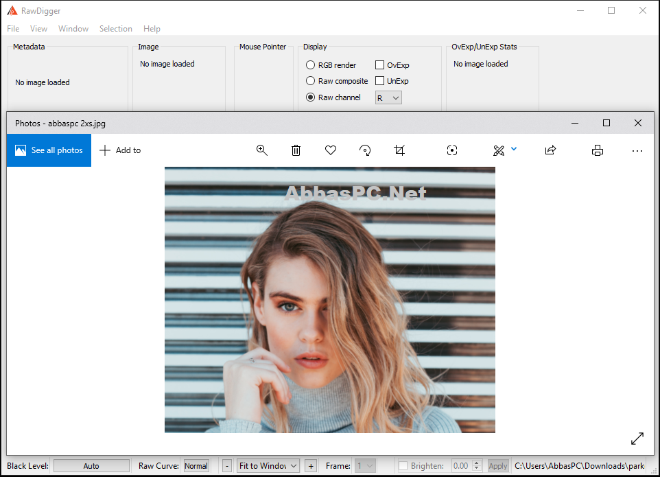 RawDigger License Key Download