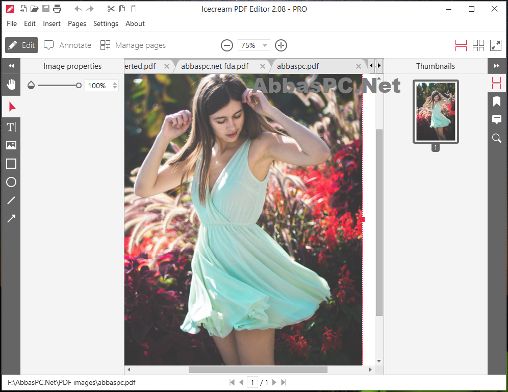 Icecream PDF Editor PRO Serial Key Icecream PDF Editor PRO Serial Key