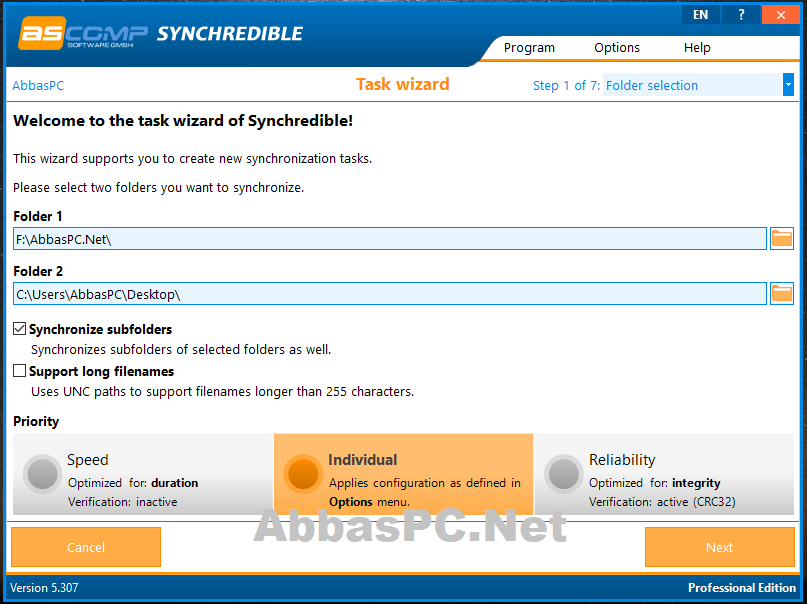 Synchredible Professional Serial Key