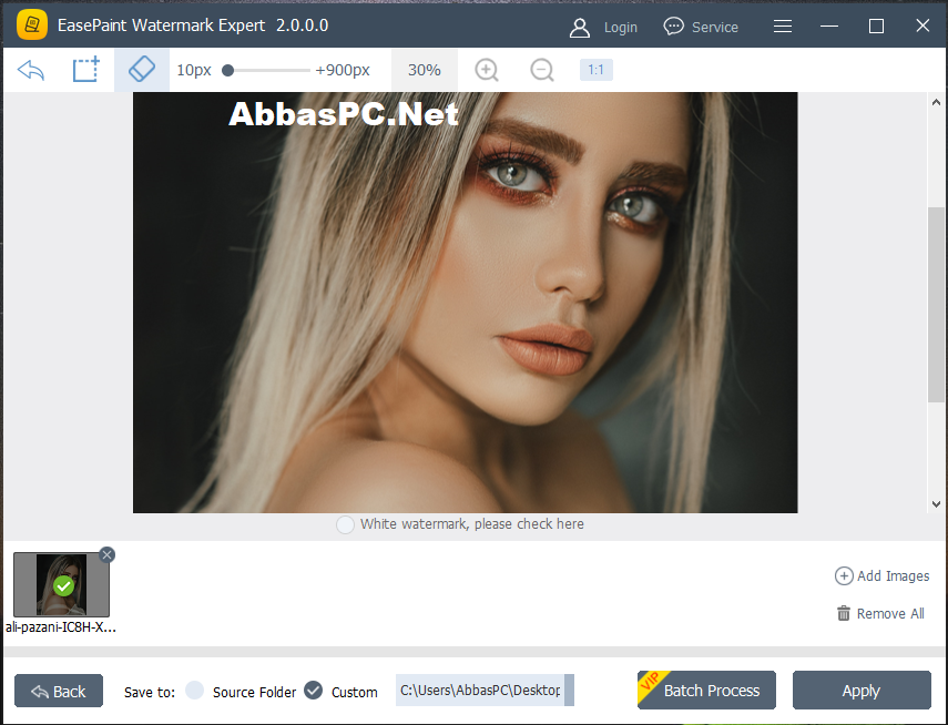 EasePaint Watermark Expert Serial Key