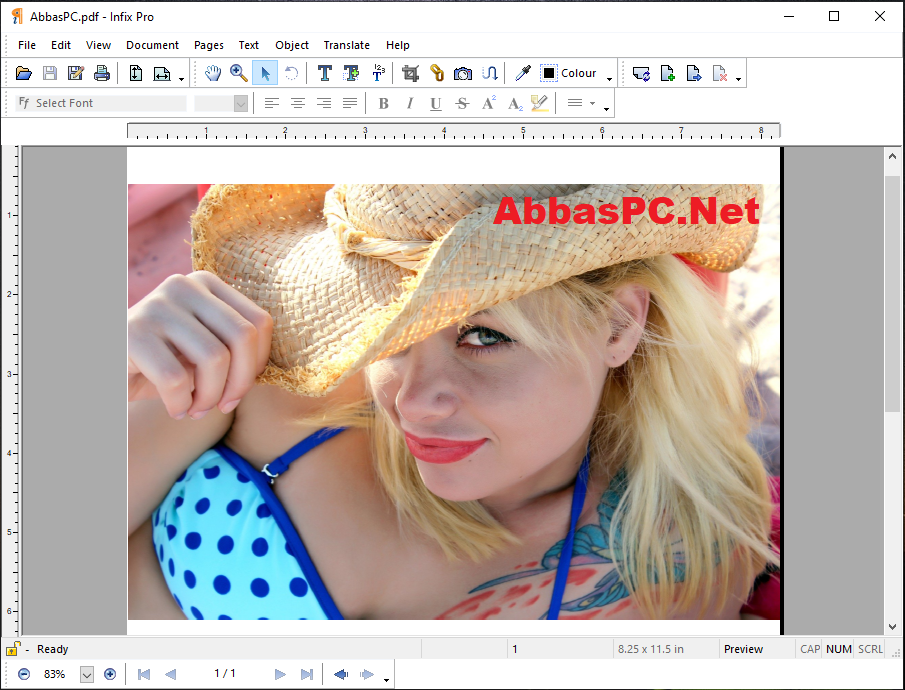 Infix PDF Editor Pro Activation Key Infix PDF Editor Pro Activation Key