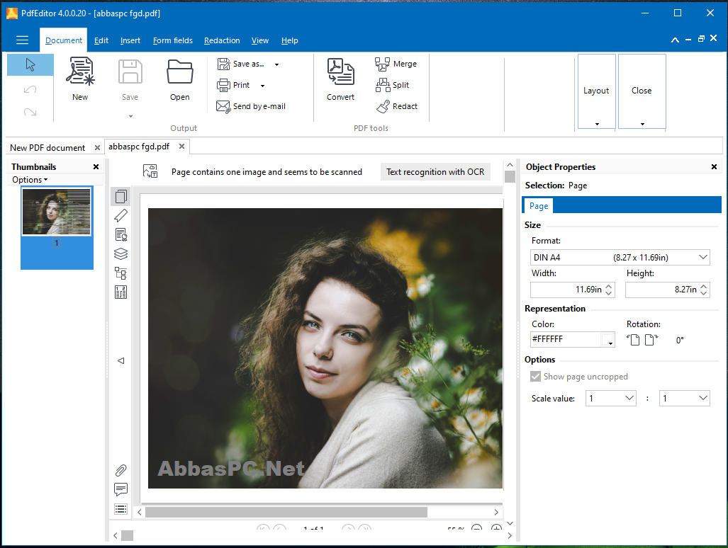 PixelPlanet PdfEditor Professional License Key