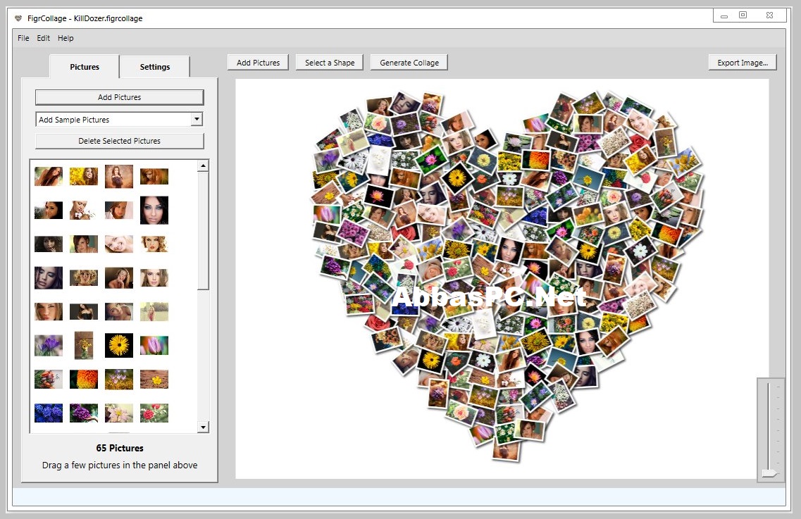 FigrCollage Professional Edition Activation Code Download