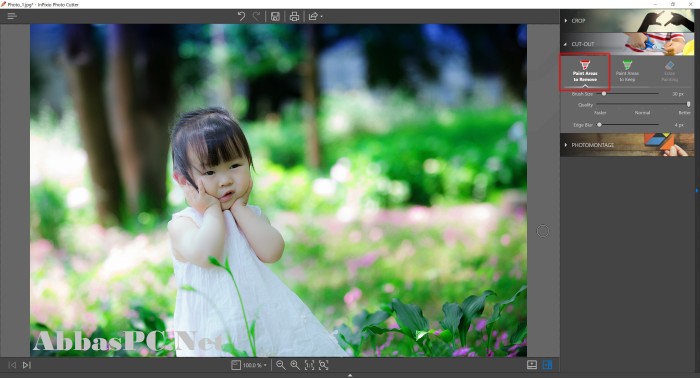 InPixio Photo Cutter Full Version Cracked InPixio Photo Cutter Full Version Cracked