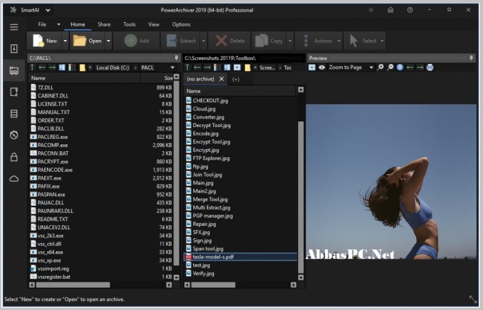 PowerArchiver 2019 Professional Full Version Cracked PowerArchiver 2019 Professional Full Version Cracked